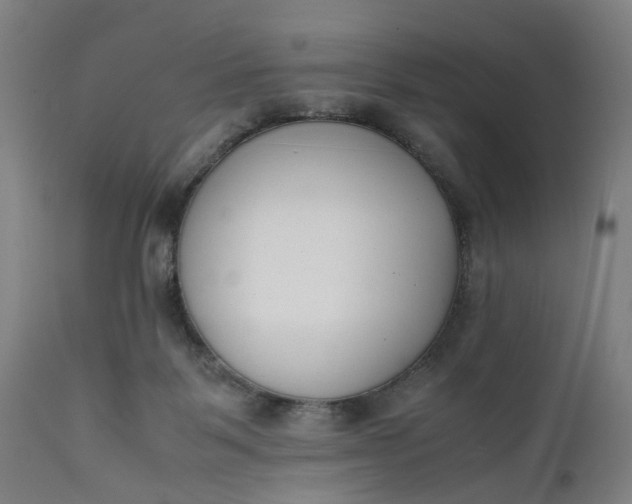 X0000111630123200907311236