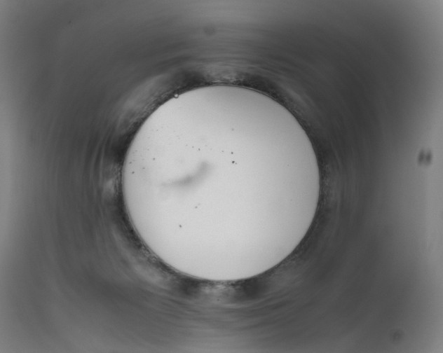 X0000111630125200907311236