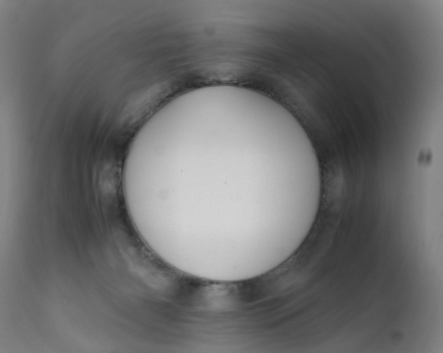 X0000111630126200907311236