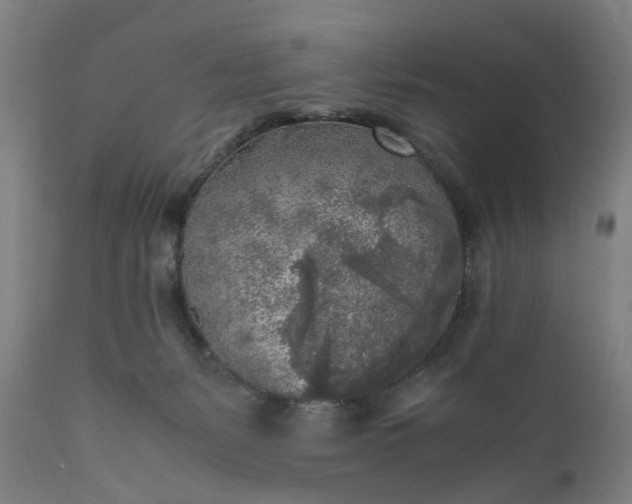 X0000111630127200907311236