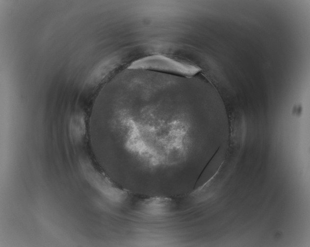 X0000111630128200907311236