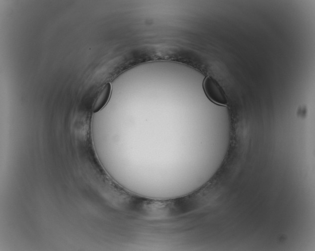 X0000111630129200907311236