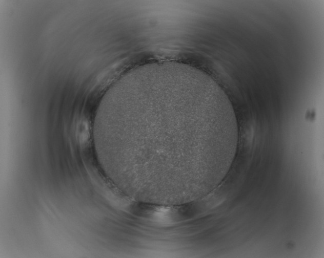 X0000111630130200907311236