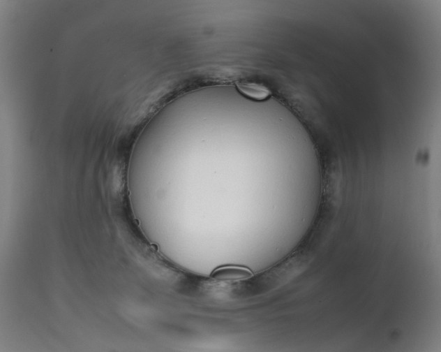 X0000111630131200907311236