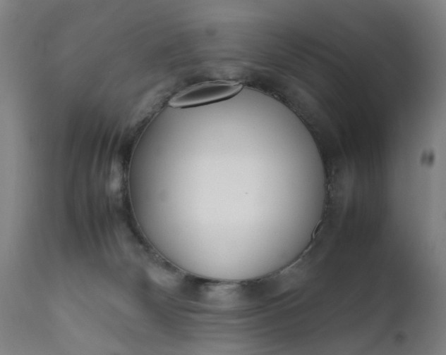 X0000111630132200907311236