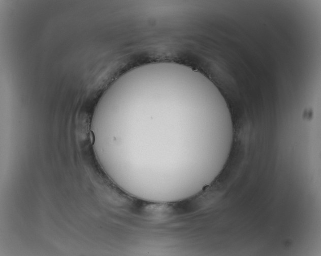 X0000111630133200907311236