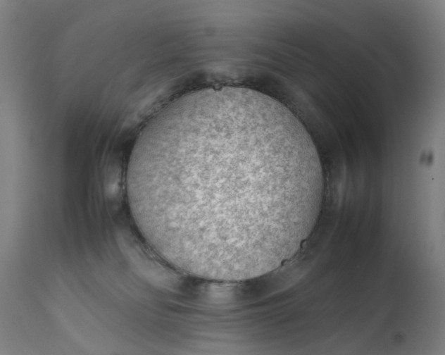 X0000111630134200907311236