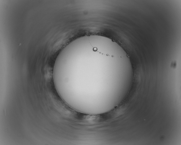 X0000111630135200907311236