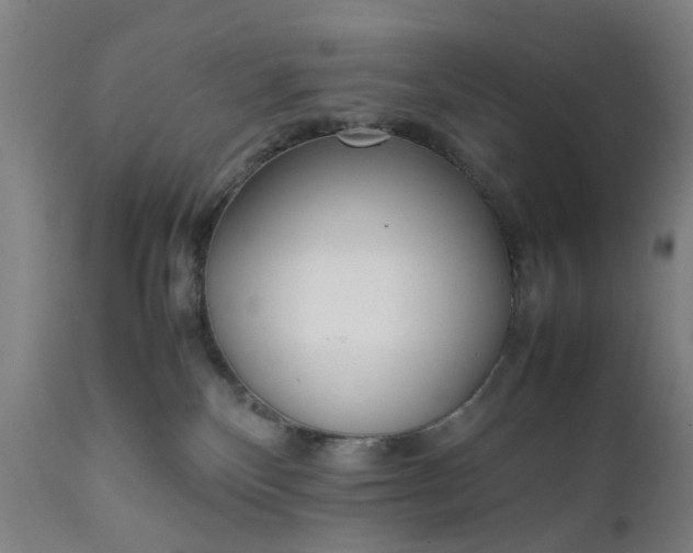 X0000111630136200907311236