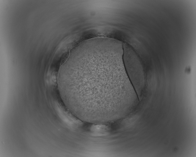 X0000111630137200907311236