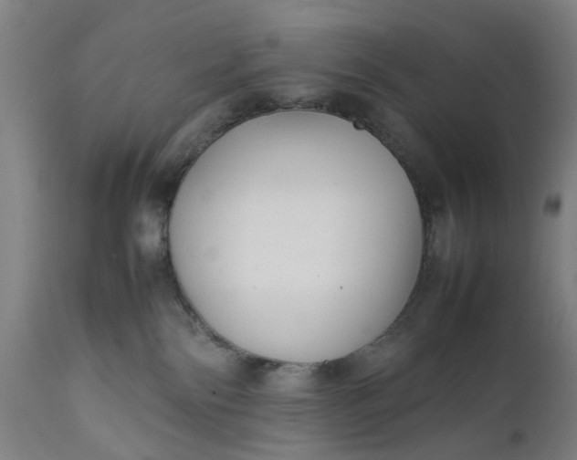 X0000111630138200907311236