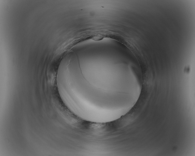 X0000111630139200907311236