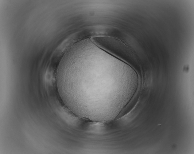 X0000111630140200907311236