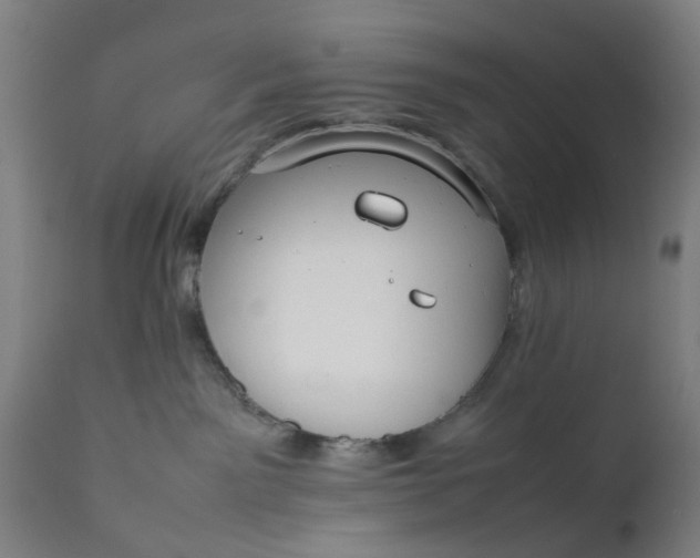 X0000111630141200907311236