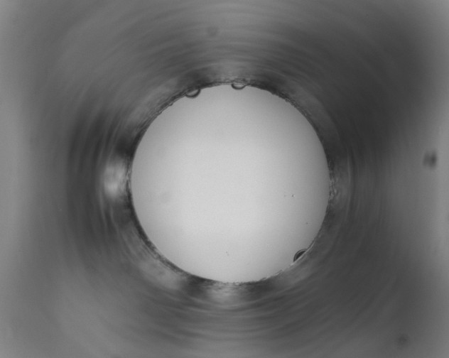 X0000111630142200907311236