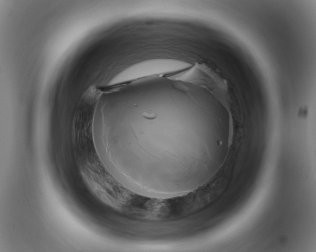 X0000111630143200907311236