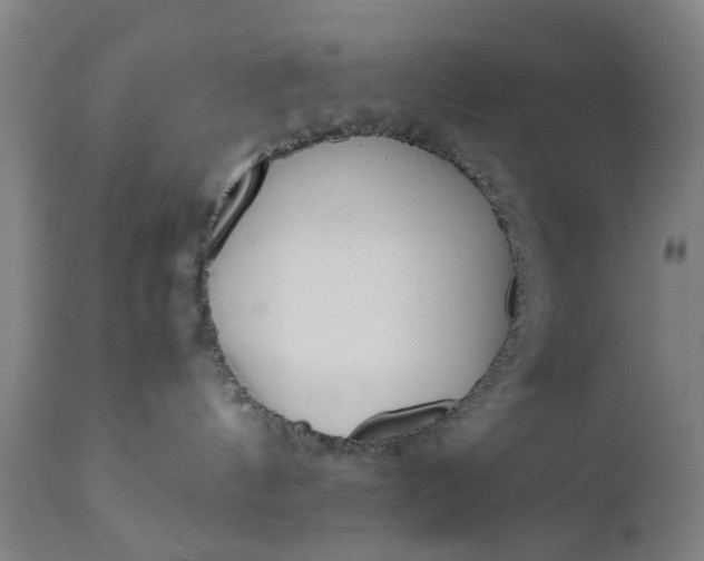 X0000111630144200907311236