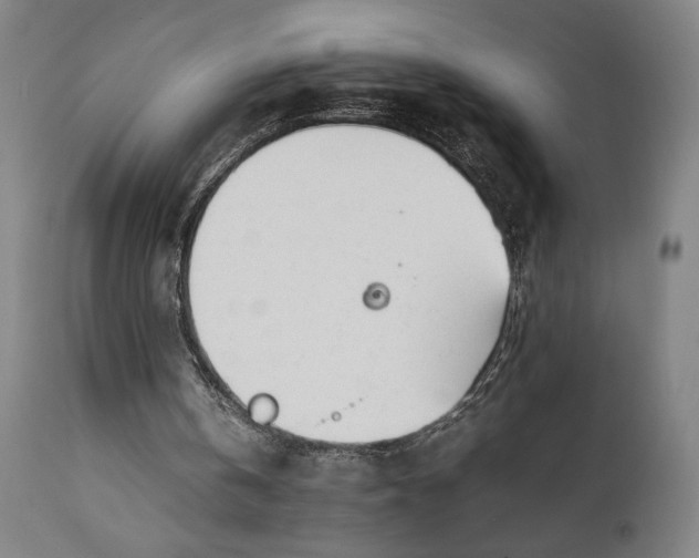 X0000111630146200907311235