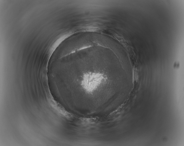 X0000111630147200907311235