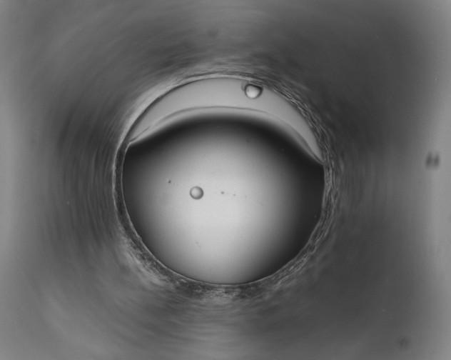 X0000111630148200907311235