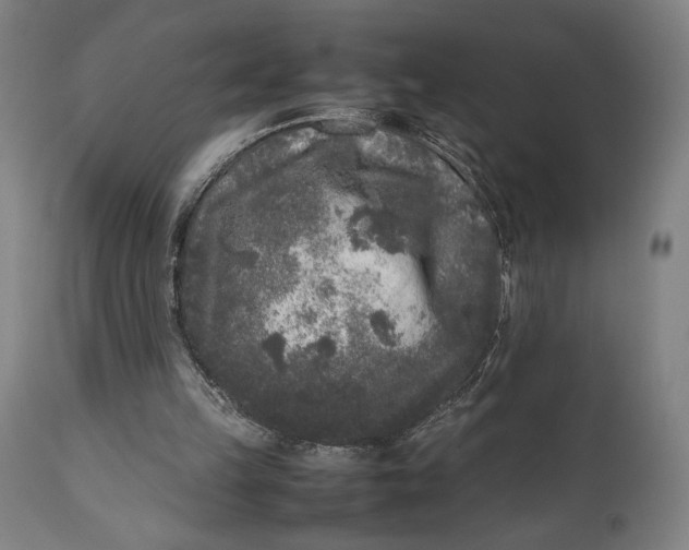 X0000111630149200907311235