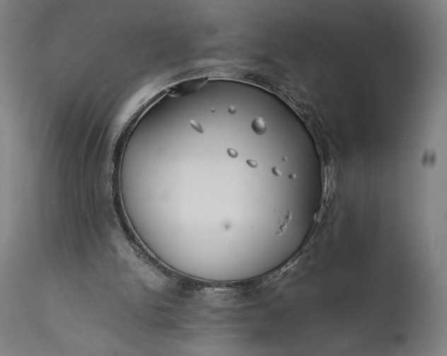 X0000111630150200907311235