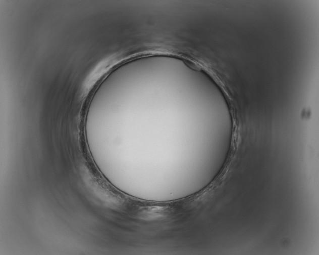 X0000111630151200907311235