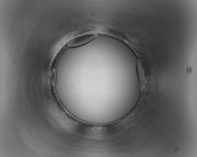 X0000111630152200907311235