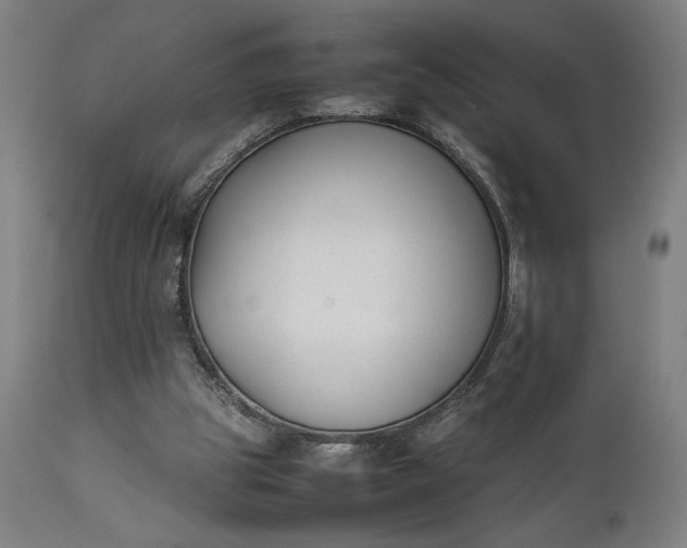 X0000111630153200907311235