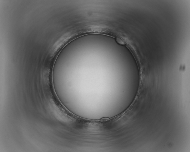 X0000111630154200907311235