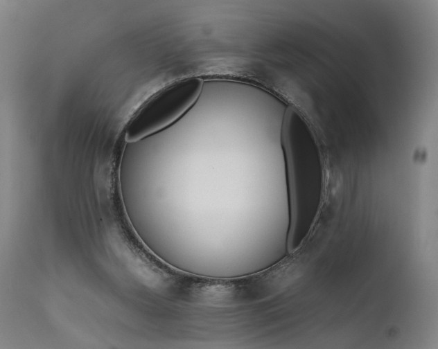 X0000111630156200907311235