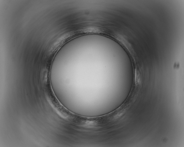 X0000111630157200907311235