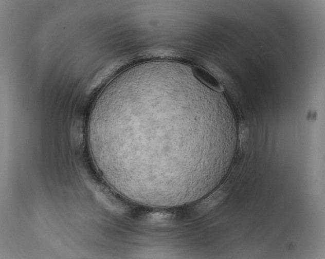 X0000111630158200907311235