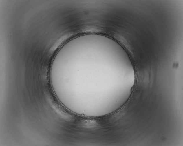 X0000111630159200907311235