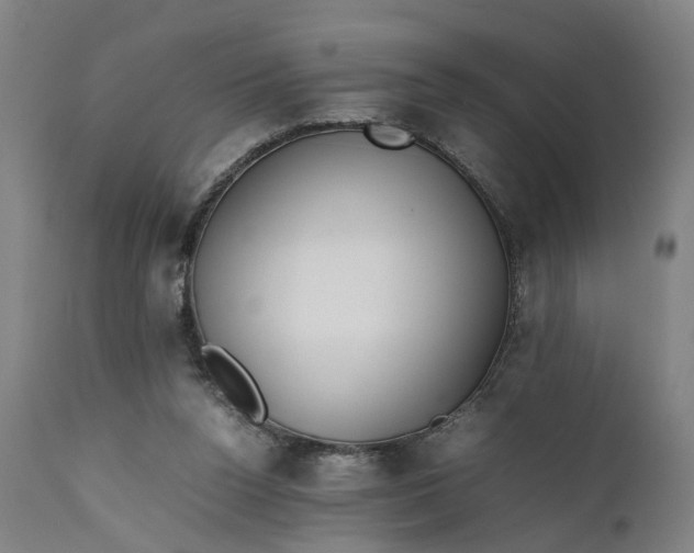 X0000111630160200907311235