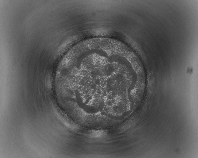 X0000111630161200907311235