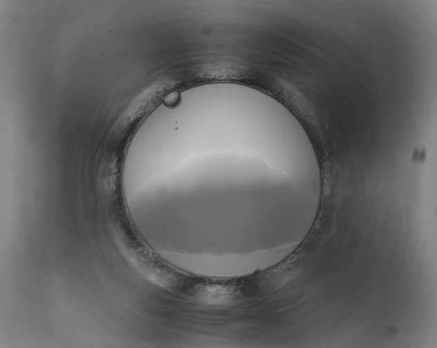 X0000111630163200907311236