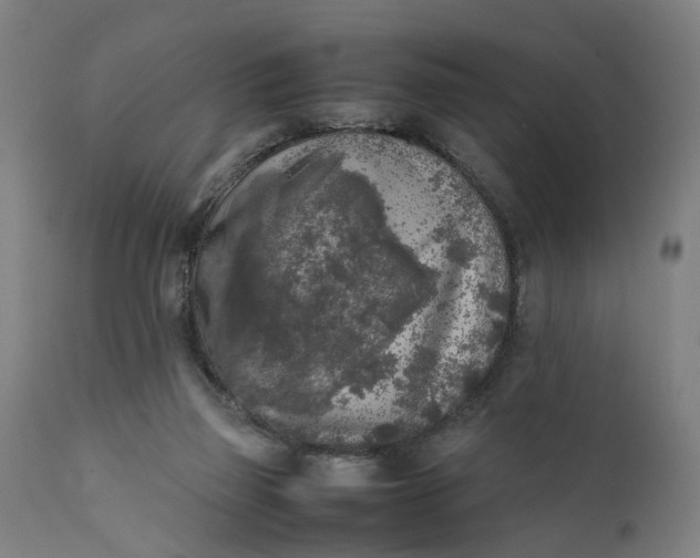 X0000111630165200907311236