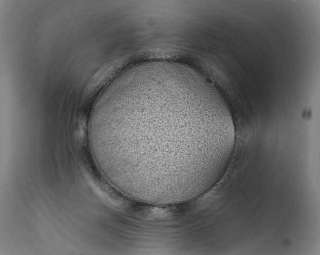 X0000111630166200907311236