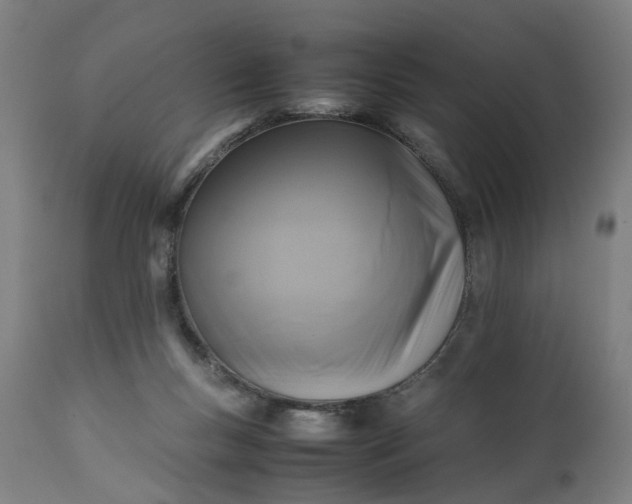 X0000111630167200907311236