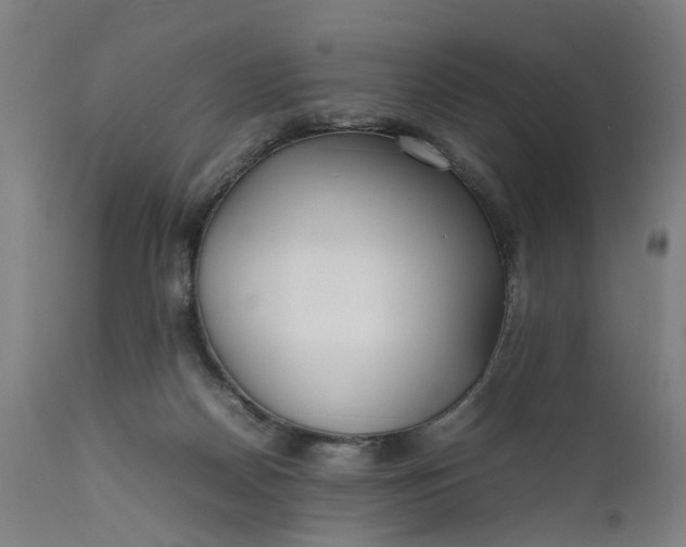 X0000111630170200907311236