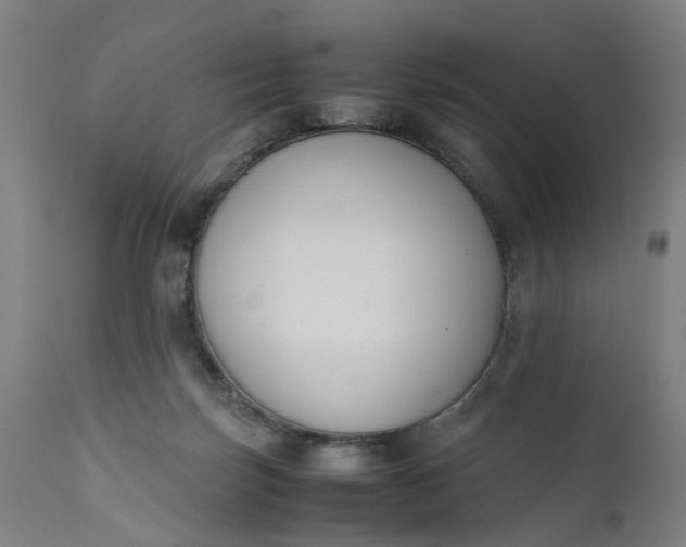 X0000111630171200907311236