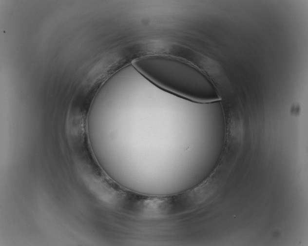 X0000111630172200907311236