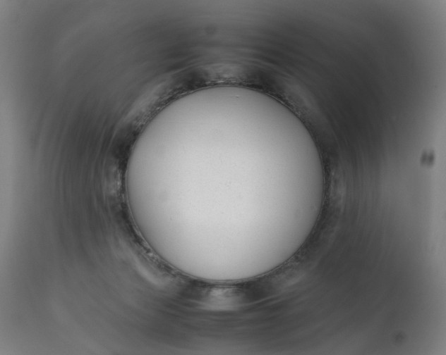 X0000111630173200907311236