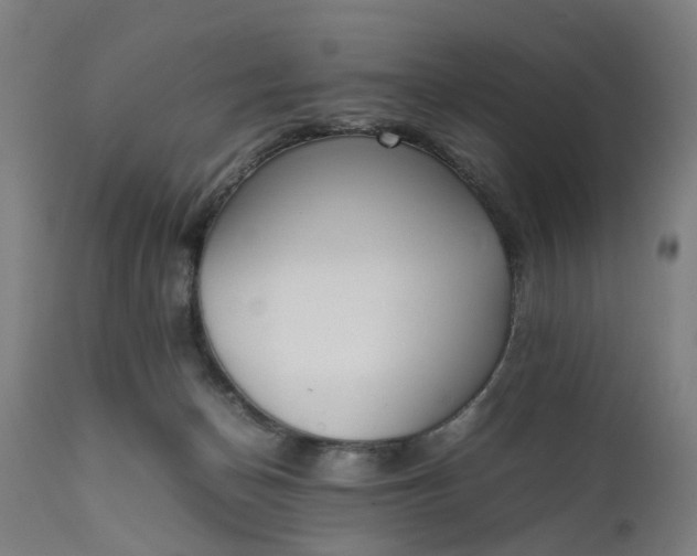 X0000111630174200907311236