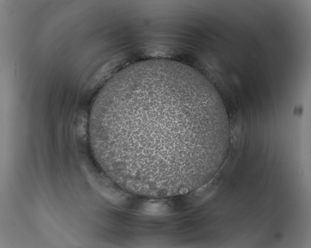 X0000111630175200907311236