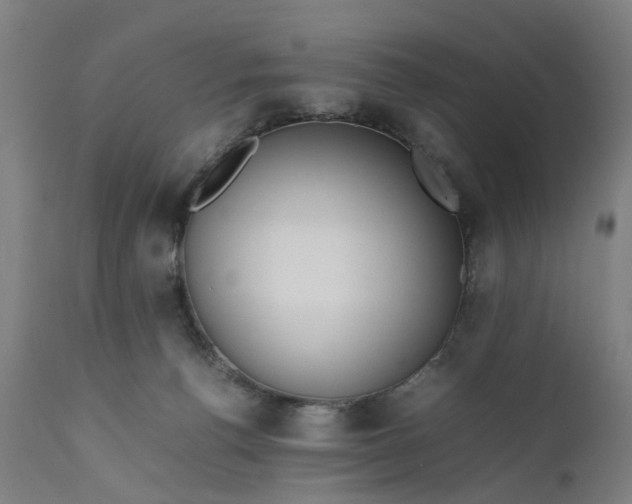 X0000111630176200907311236