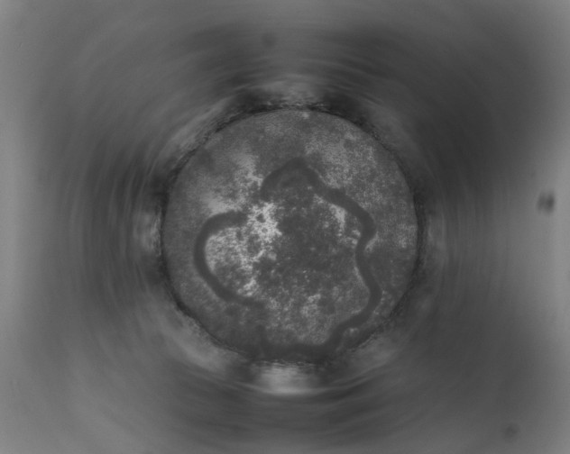 X0000111630177200907311236