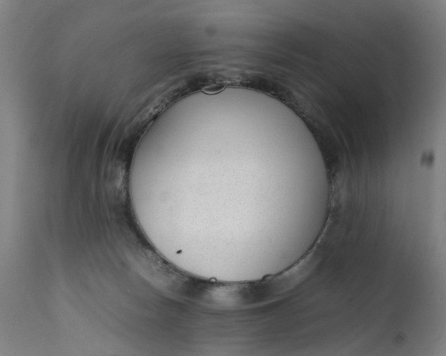 X0000111630178200907311236