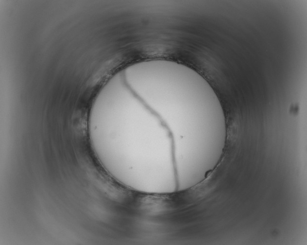 X0000111630179200907311236